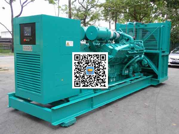 龙江租赁发电机-康明斯发电机性价比还是比较高的